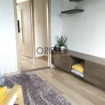 Rent 3 bedroom apartment in Ostrava