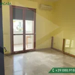 Rent 3 bedroom apartment of 85 m² in Bari