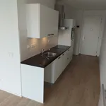 Huur 1 slaapkamer appartement van 49 m² in Leiden