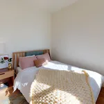 Rent 1 bedroom house in San Francisco