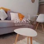 Rent 3 bedroom apartment of 52 m² in Grad Rijeka