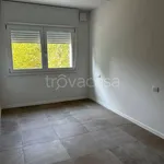 Rent 2 bedroom apartment of 53 m² in Bologna