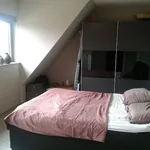 Huur 1 slaapkamer appartement in Geel