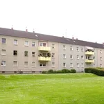 Rent 2 bedroom apartment of 41 m² in Duisburg