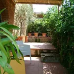 Rent 3 bedroom apartment of 70 m² in Arezzo