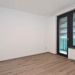 Pronajměte si 2 ložnic/e byt o rozloze 46 m² v zizkov