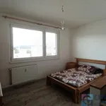 Rent 1 bedroom apartment in Jablonec nad Nisou