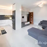 Rent 3 bedroom apartment of 73 m² in Brno