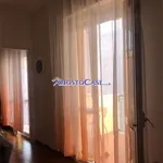 Rent 1 bedroom apartment of 50 m² in ferrara