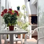 Rent 3 bedroom house in Malaga']