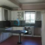 Rent 2 bedroom apartment of 105 m² in Municipal Unit of Rio