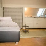 Rent 1 bedroom apartment of 30 m² in Dusseldorf