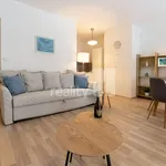 Rent 1 bedroom apartment of 33 m² in Liberec