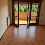 Rent 2 bedroom apartment of 56 m² in Roma