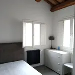 Rent 1 bedroom apartment of 50 m² in Urbino