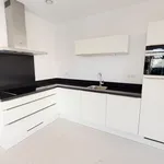 Rent 1 bedroom apartment in The Hague