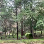 Rent 1 bedroom house in Kelseyville