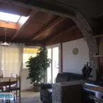 Rent 6 bedroom apartment of 150 m² in Trani