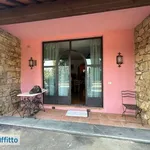 Rent 2 bedroom apartment of 50 m² in Florence