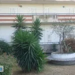 Appartamento Casalnuovo Di Napoli