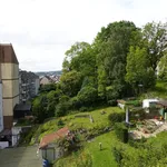 Rent 2 bedroom apartment of 53 m² in Hagen