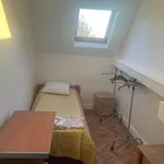 Rent 1 bedroom apartment in Brussels