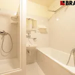 Pronajměte si 3 ložnic/e byt o rozloze 58 m² v Brno