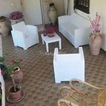 Rent 4 bedroom house of 100 m² in Pedara