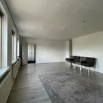 Rent 3 bedroom apartment of 78 m² in Nieuwleusen Zuid