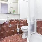 Rent 4 bedroom apartment of 170 m² in Zagreb