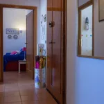 Rent 3 bedroom apartment of 55 m² in Follonica