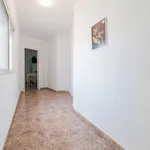 Alquilar 4 dormitorio apartamento en Valencia