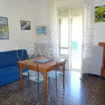 Rent 3 bedroom apartment of 80 m² in Cecina