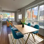 Rent 1 bedroom apartment in Williamsburg