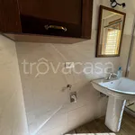 Rent 2 bedroom apartment of 45 m² in Pavia