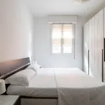 Rent 2 bedroom apartment in Bologna