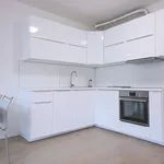 Pronajměte si 1 ložnic/e byt o rozloze 50 m² v Prague