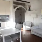 Rent 2 bedroom apartment of 47 m² in Rome