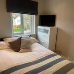 Rent a room of 2500 m² in dublin