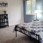 Rent 1 bedroom apartment in Fairfield