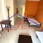 Rent 1 bedroom apartment of 30 m² in ΣΕΙΣΜΟΠΛΗΚΤΑ