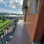 Rent 1 bedroom apartment of 40 m² in Bologna