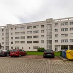 Pronájem bytu 2+kk, 52 m² na ul. Ratibořská, Opava -Katřeřin