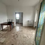 Rent 2 bedroom apartment of 50 m² in Torino