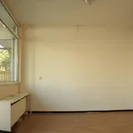 Huur 2 slaapkamer appartement van 50 m² in Den Haag