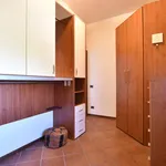 Rent 3 bedroom apartment of 80 m² in Rome