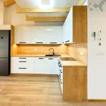 Rent 1 bedroom apartment of 70 m² in Olomouc