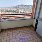 Rent 2 bedroom apartment of 65 m² in Genoa