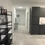 Rent 3 bedroom apartment of 70 m² in Lodz