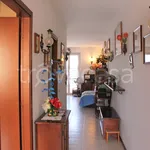 Rent 3 bedroom apartment of 60 m² in Cupra Marittima